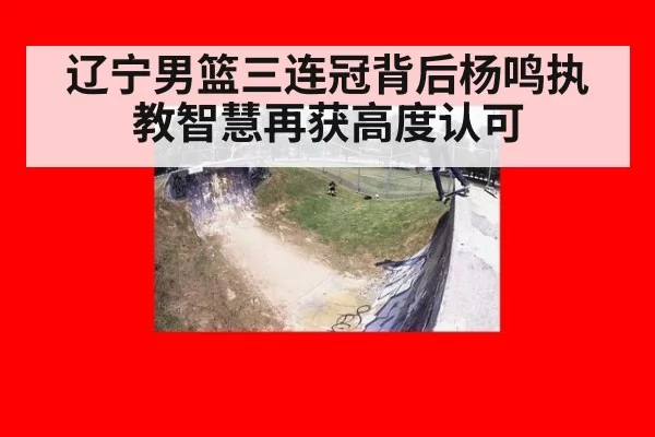 辽宁男篮三连冠背后杨鸣执教智慧再获高度认可