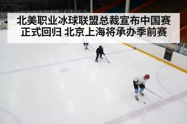 ice hockey game